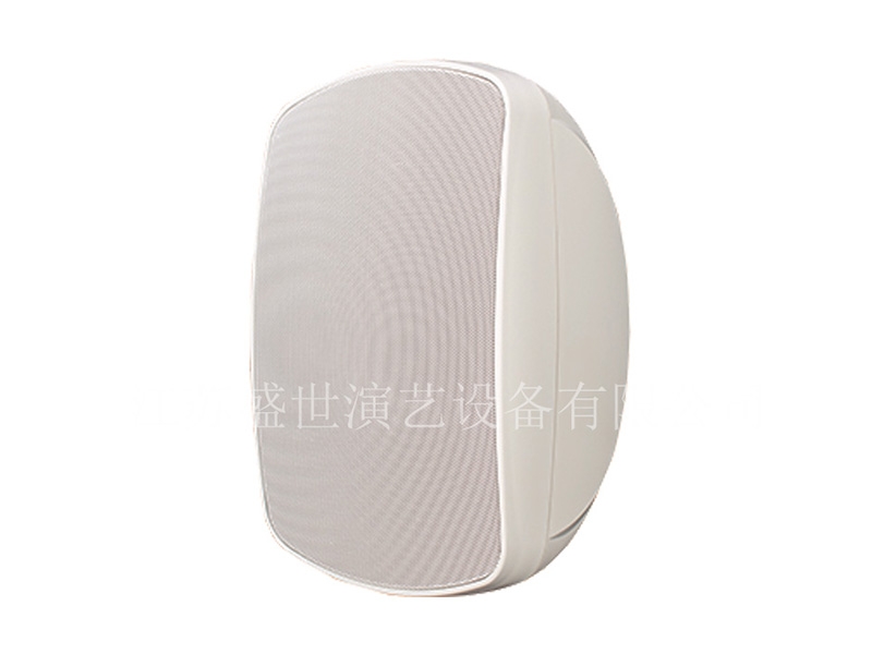 单6.5寸全天候户外音箱